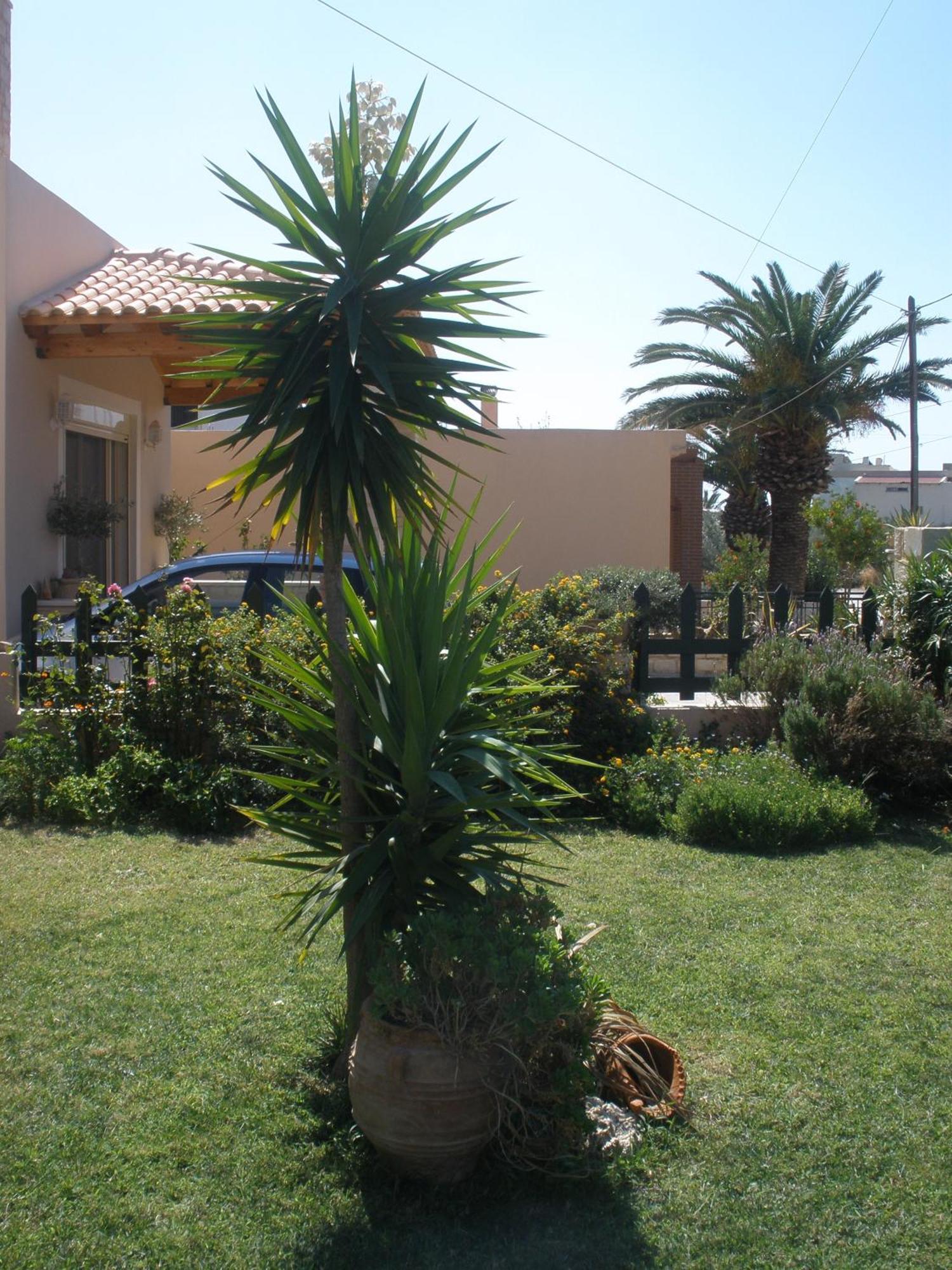 Livadi Apartments Plakias Exterior foto