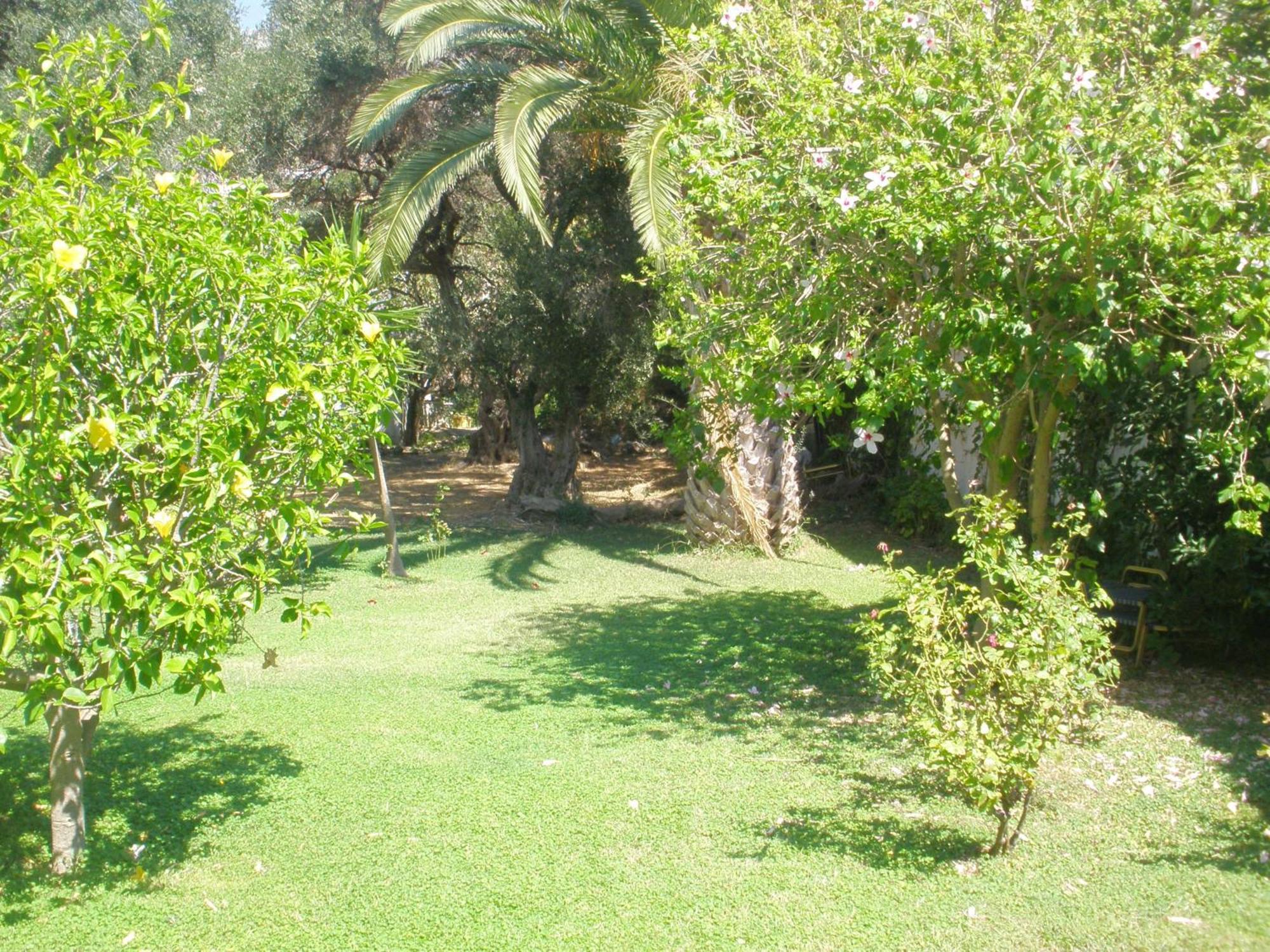 Livadi Apartments Plakias Exterior foto