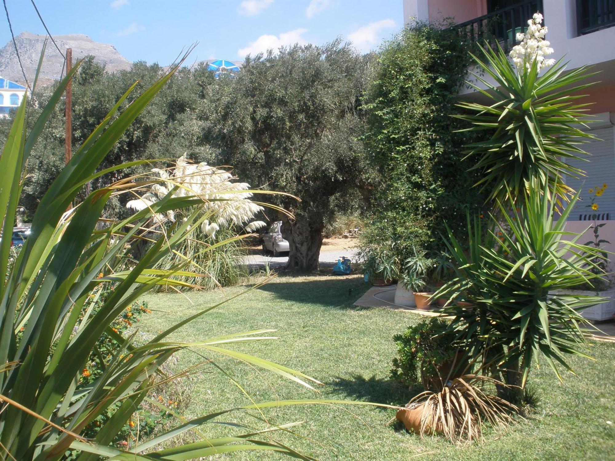 Livadi Apartments Plakias Exterior foto